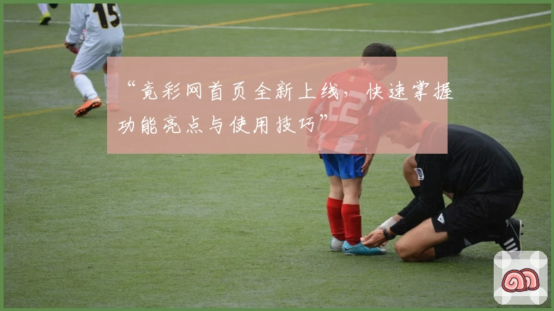 “竟彩网首页全新上线，快速掌握功能亮点与使用技巧”