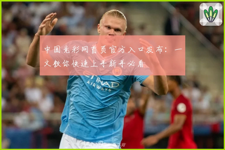中国竞彩网首页官方入口发布：一文教你快速上手新手必看